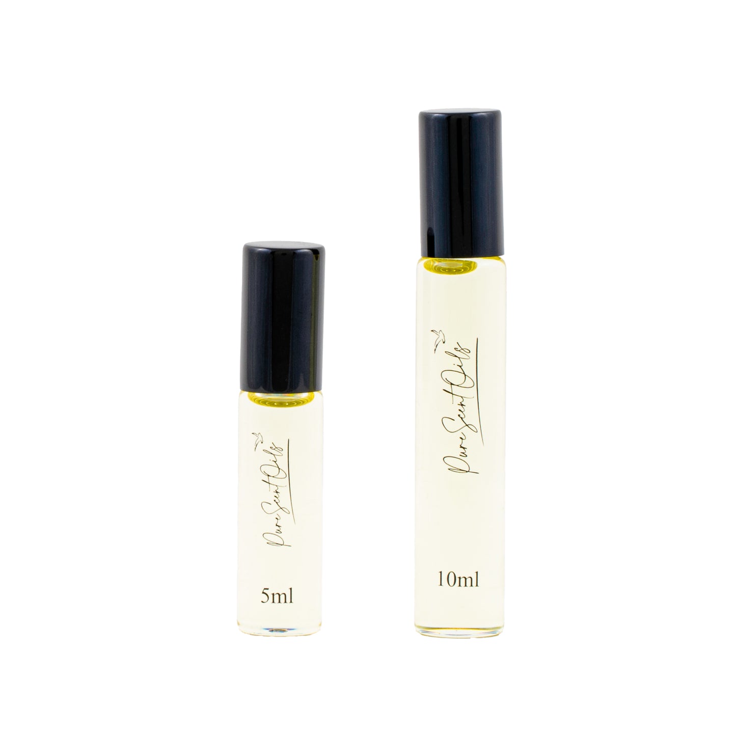 Breezy Blooms - Inspired by Wind Flowers
